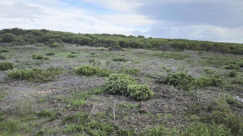 0 Bedroom Property for Sale in Kleinbaai Western Cape